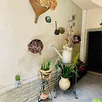 Le Rondini - Courtyard With Balcony & Terrace